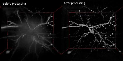 Improve image contrast by HiLL microscopy